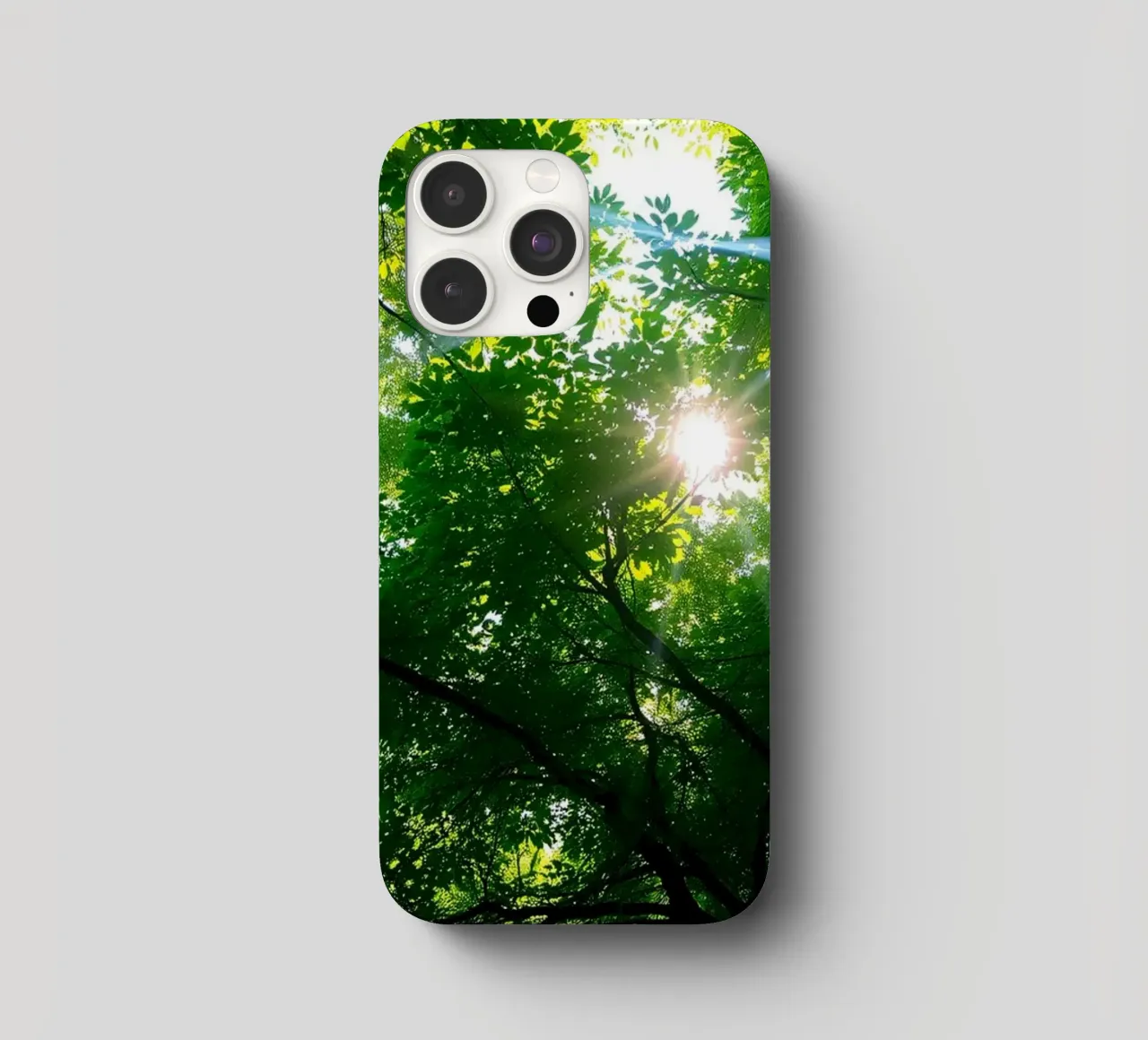 Sunlight filtering through dense green trees in calm iphone case by DesignDoodle