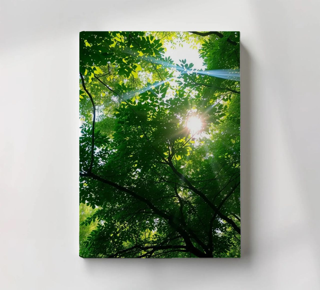 Sunlight filtering through dense green trees in calm notebook by DesignDoodle