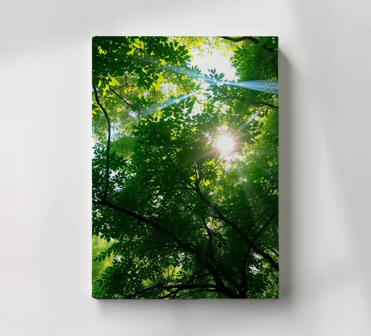 Lumière du soleil filtrant à travers des arbres denses et verts dans le calme carnet de notes de DesignDoodle