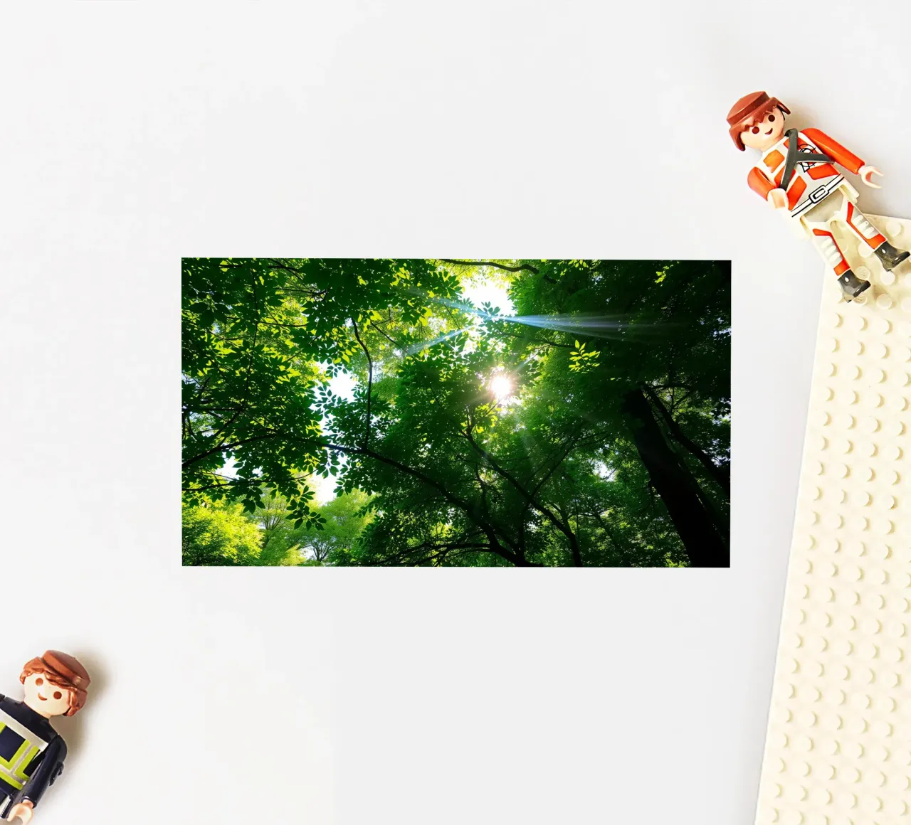 La luce del sole che filtra attraverso i fitti alberi verdi nella calma adesivo da DesignDoodle