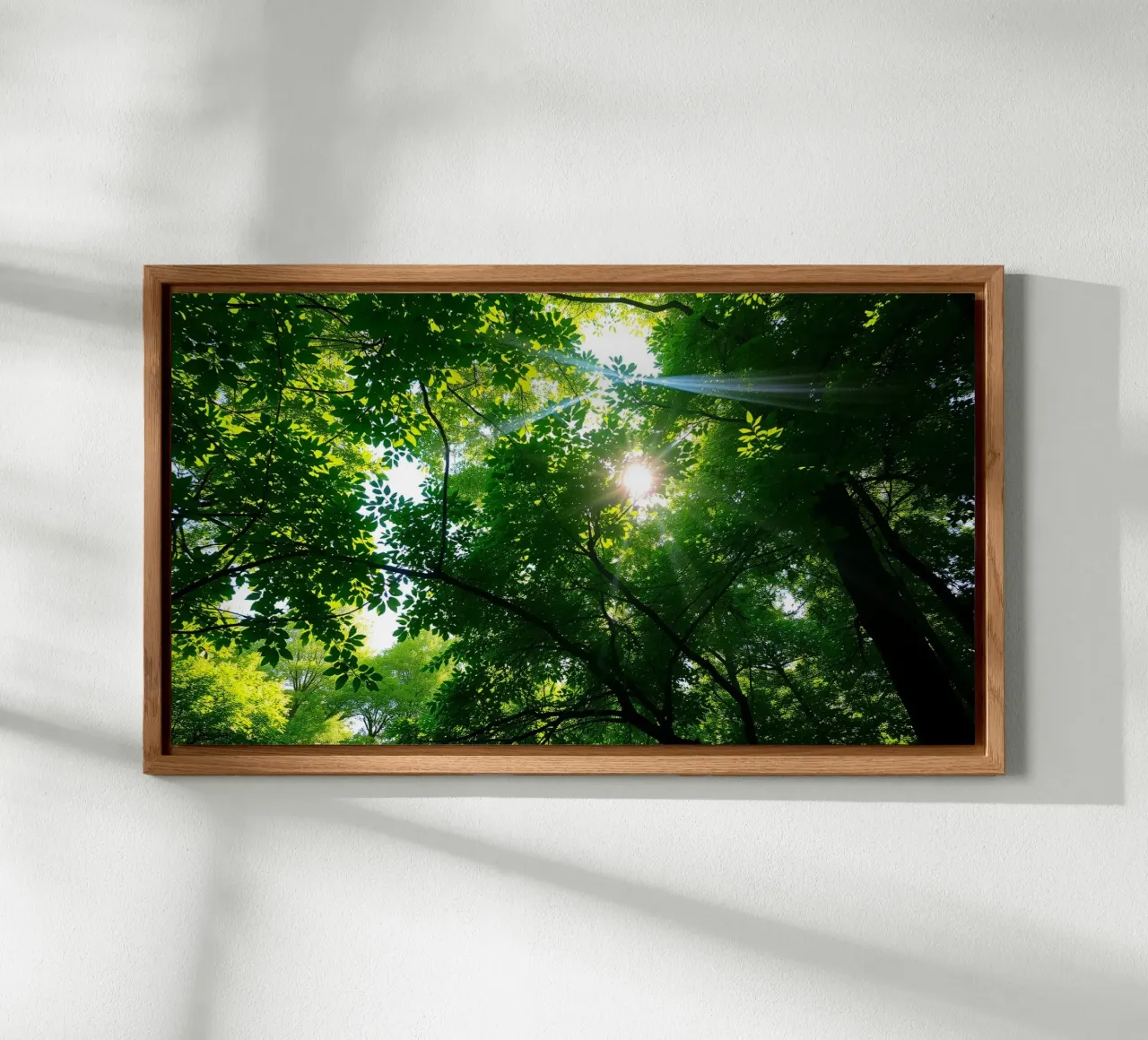 Sunlight filtering through dense green trees in calm alu-dibond by DesignDoodle
