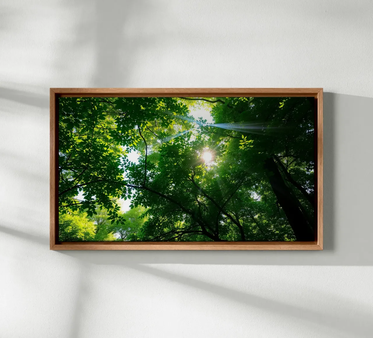Sunlight filtering through dense green trees in calm canvas with Floater frame by DesignDoodle