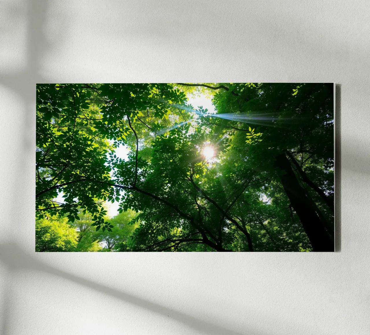 Sunlight filtering through dense green trees in calm canvas with Floater frame by DesignDoodle