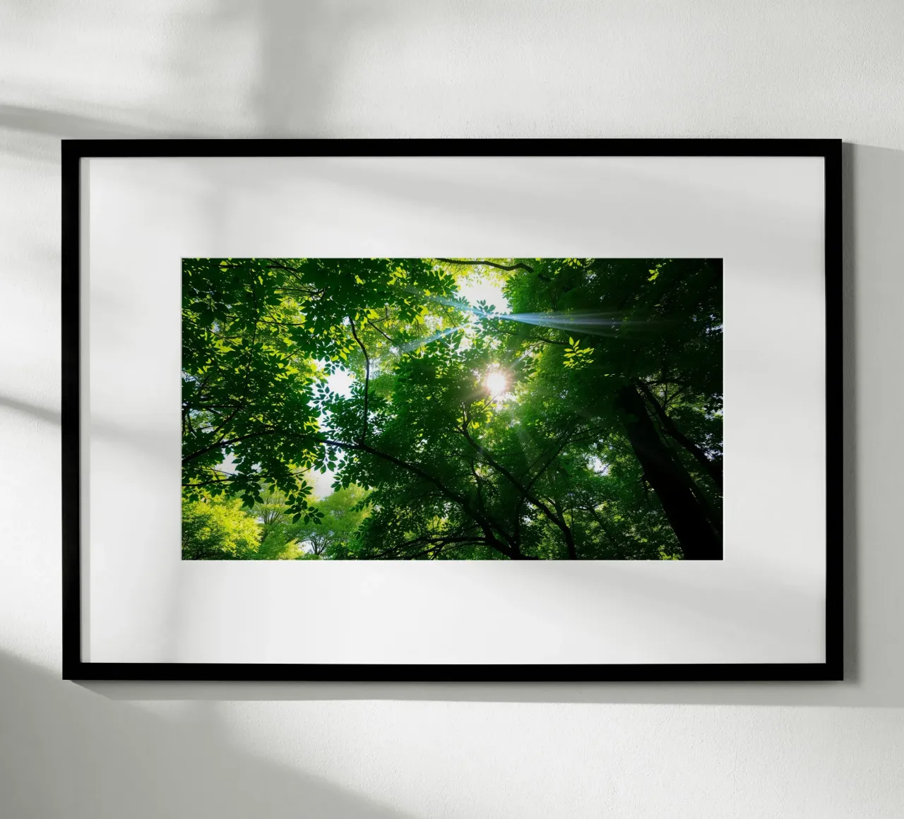 La luce del sole che filtra attraverso i fitti alberi verdi nella calma carta hahnemühle da DesignDoodle