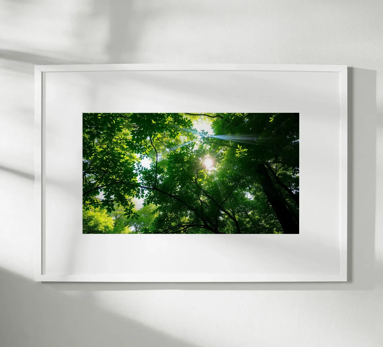 Lumière du soleil filtrant à travers des arbres denses et verts dans le calme hahnemühle de DesignDoodle