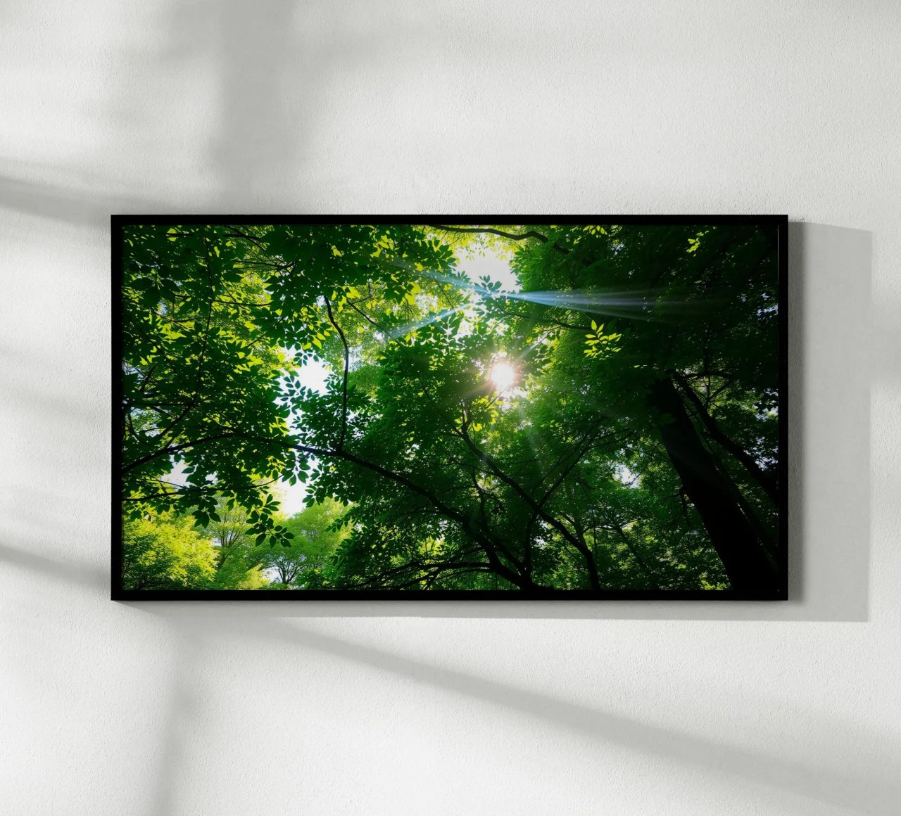 Sunlight filtering through dense green trees in calm hahnemühle by DesignDoodle