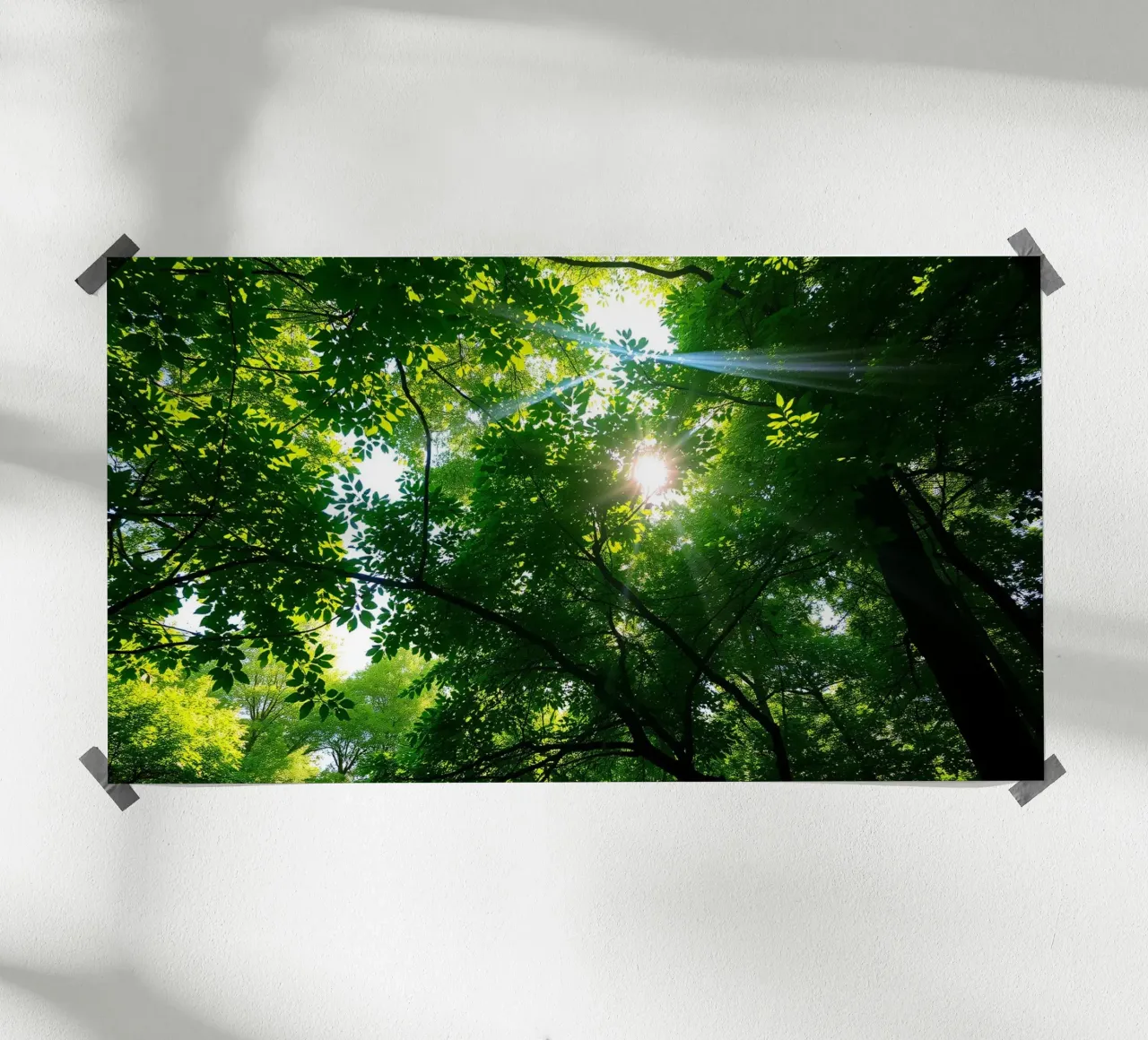 La luce del sole che filtra attraverso i fitti alberi verdi nella calma carta hahnemühle da DesignDoodle