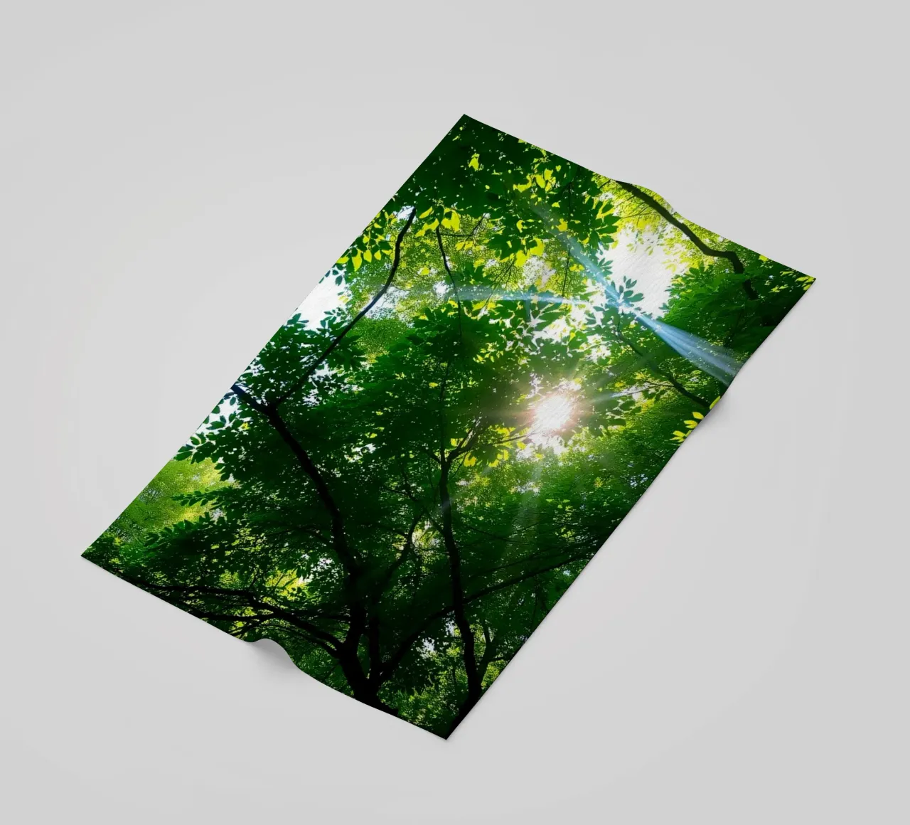 Sunlight filtering through dense green trees in calm beach towel by DesignDoodle
