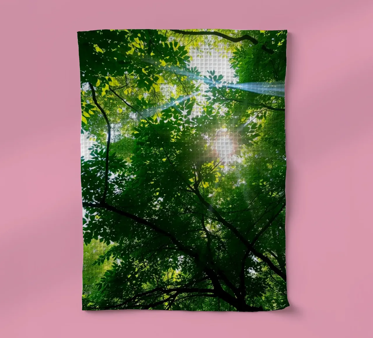 La luce del sole che filtra attraverso i fitti alberi verdi nella calma canovaccio da cucina da DesignDoodle