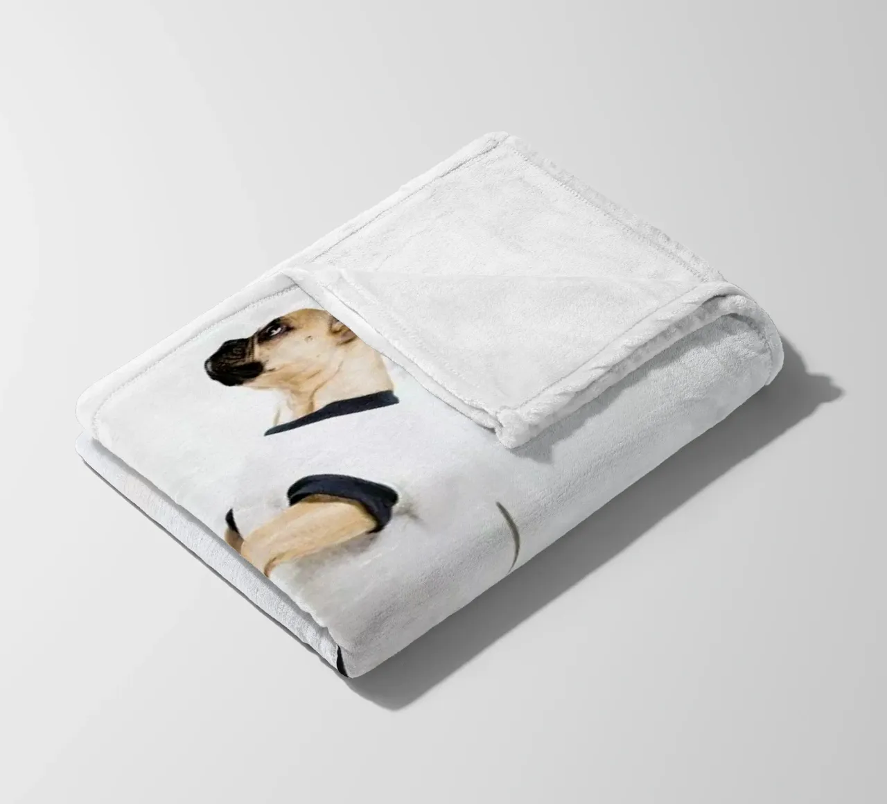 The Tailwaggers 4-2 coperta in pile da Paul Aidan Perry