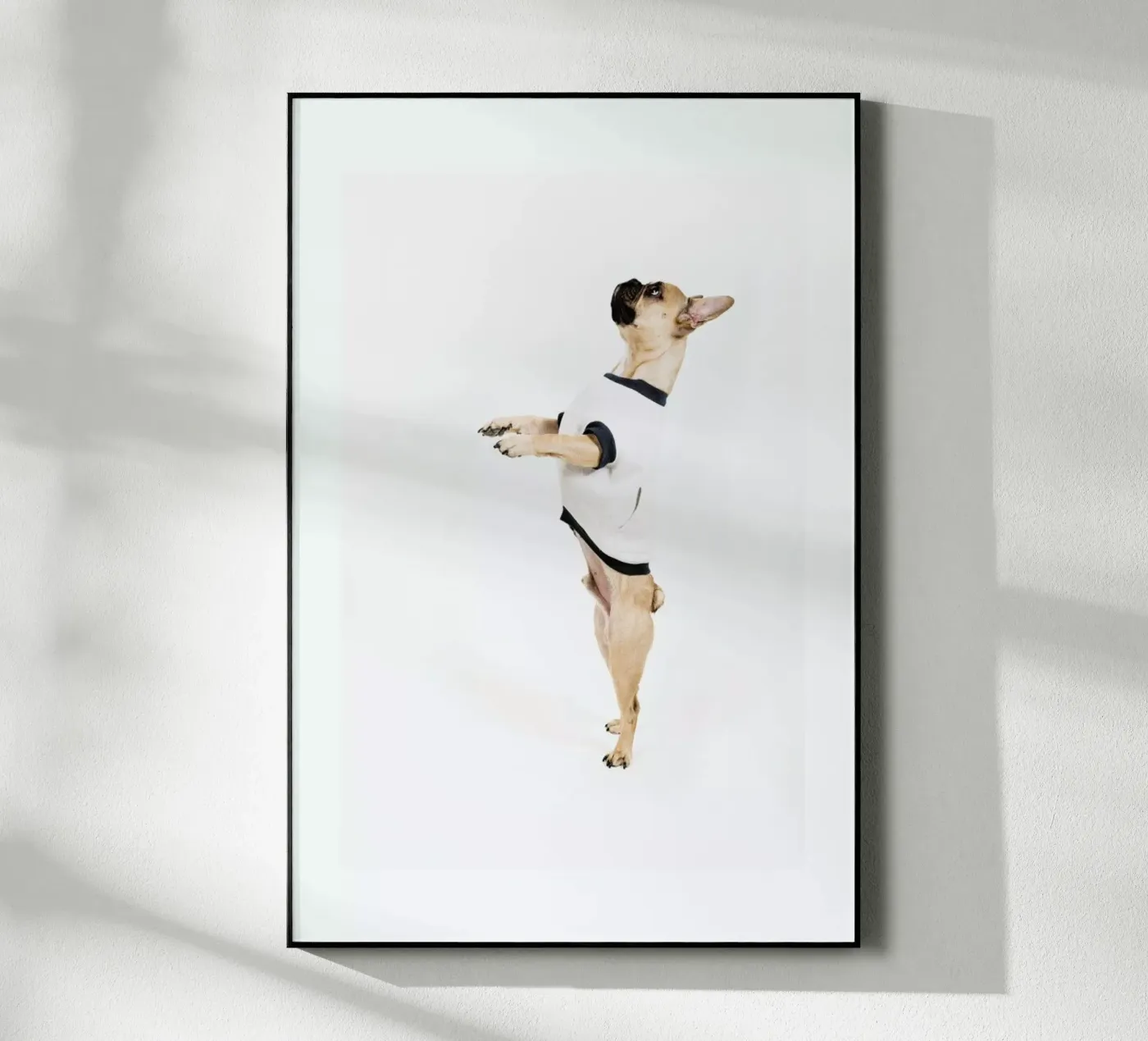 The Tailwaggers 4-2 plexiglass da Paul Aidan Perry