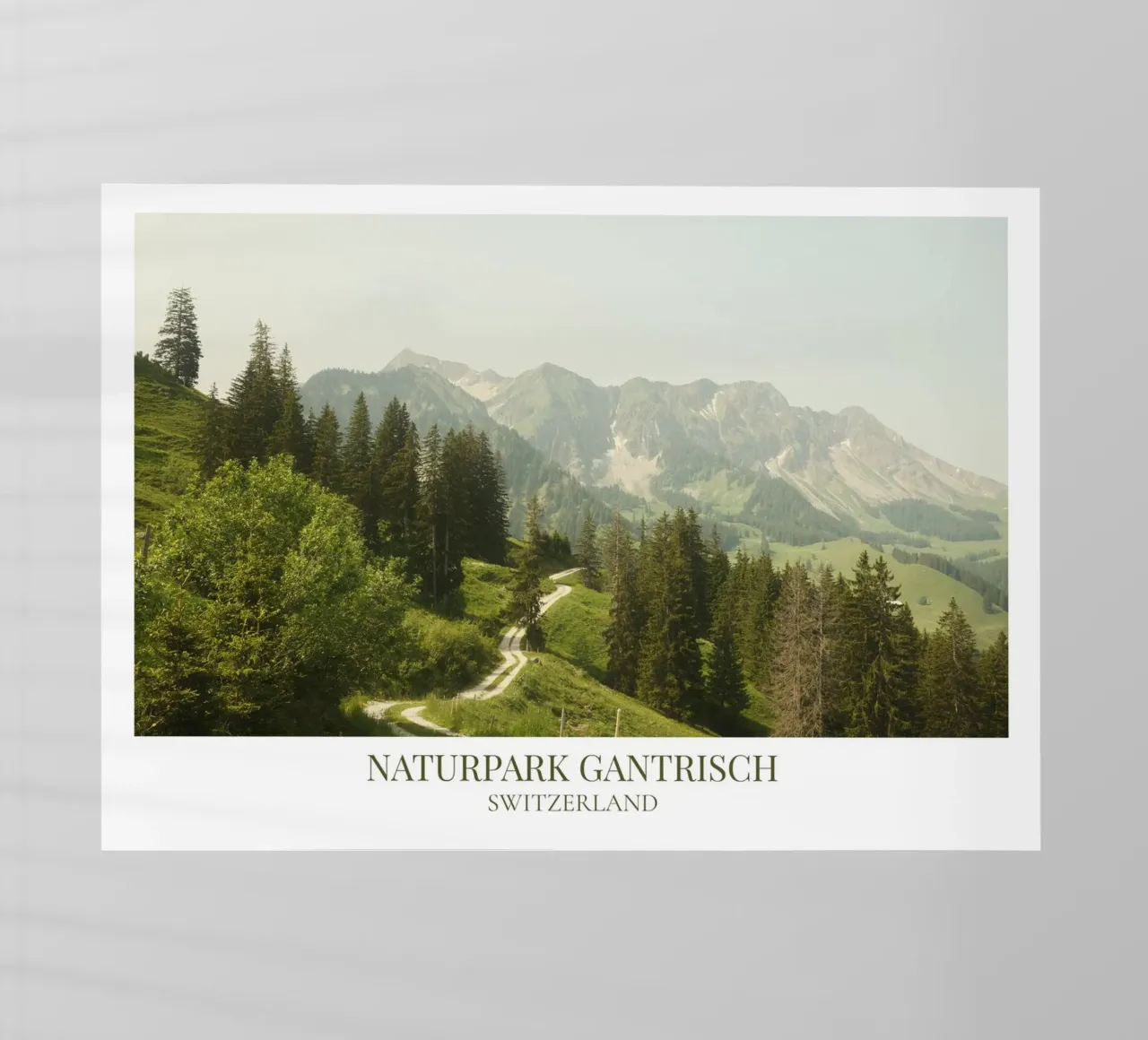 Gantrisch II: Switzerland pellicola backlit da FujiFrames