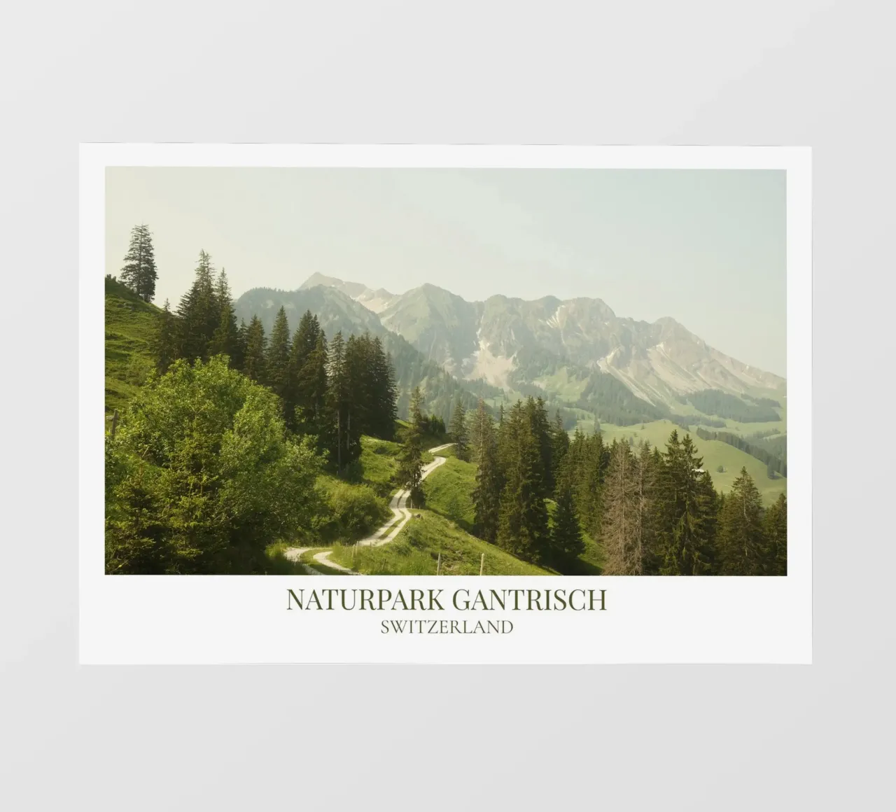 Gantrisch II: Switzerland pellicola backlit da FujiFrames