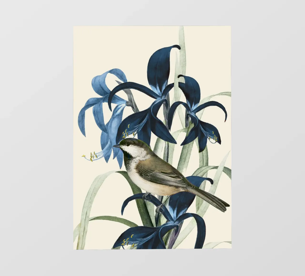Little Bird and Flowers 2 pellicola backlit da Nadjaa