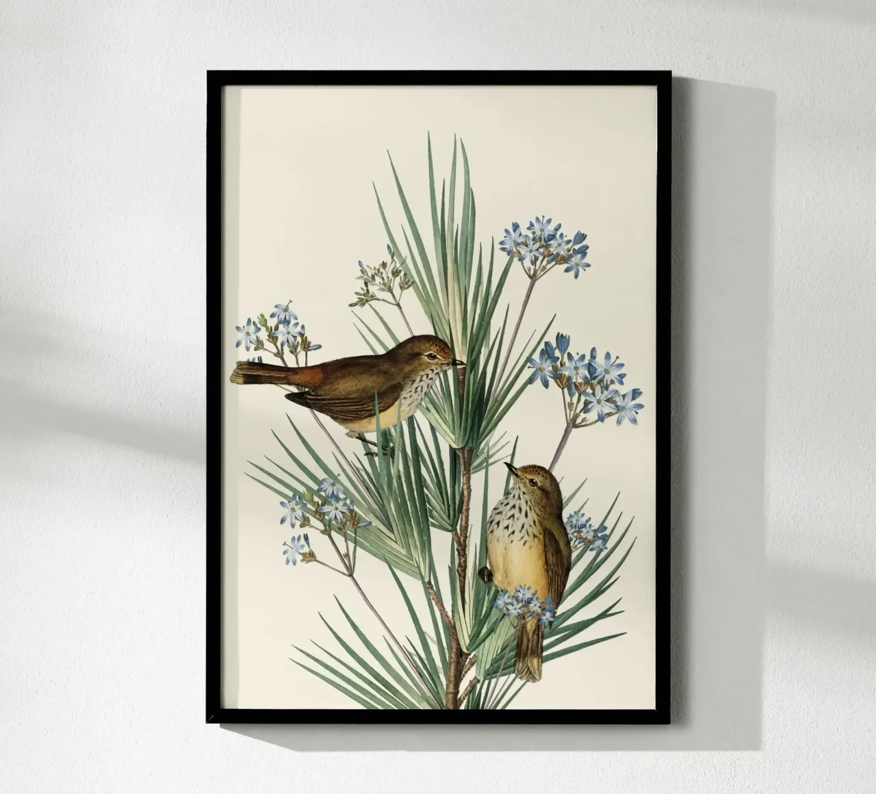 Little Birds and Flowers 3 carta hahnemühle da Nadjaa