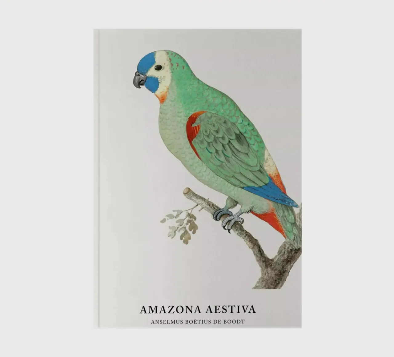Anselmus Boëtius de Boodt - Blue-fronted Amazon notebook by Vintage by JUNIQE