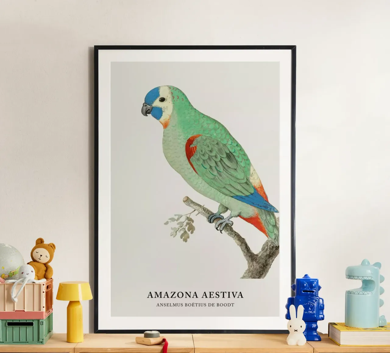 Anselmus Boëtius de Boodt - Blue-fronted Amazon poster da Vintage by JUNIQE
