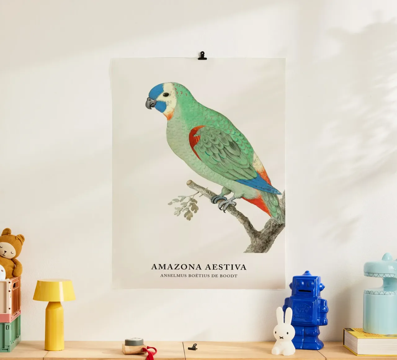 Anselmus Boëtius de Boodt - Blue-fronted Amazon poster da Vintage by JUNIQE