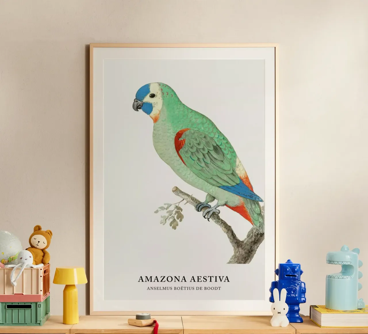 Anselmus Boëtius de Boodt - Blue-fronted Amazon poster da Vintage by JUNIQE