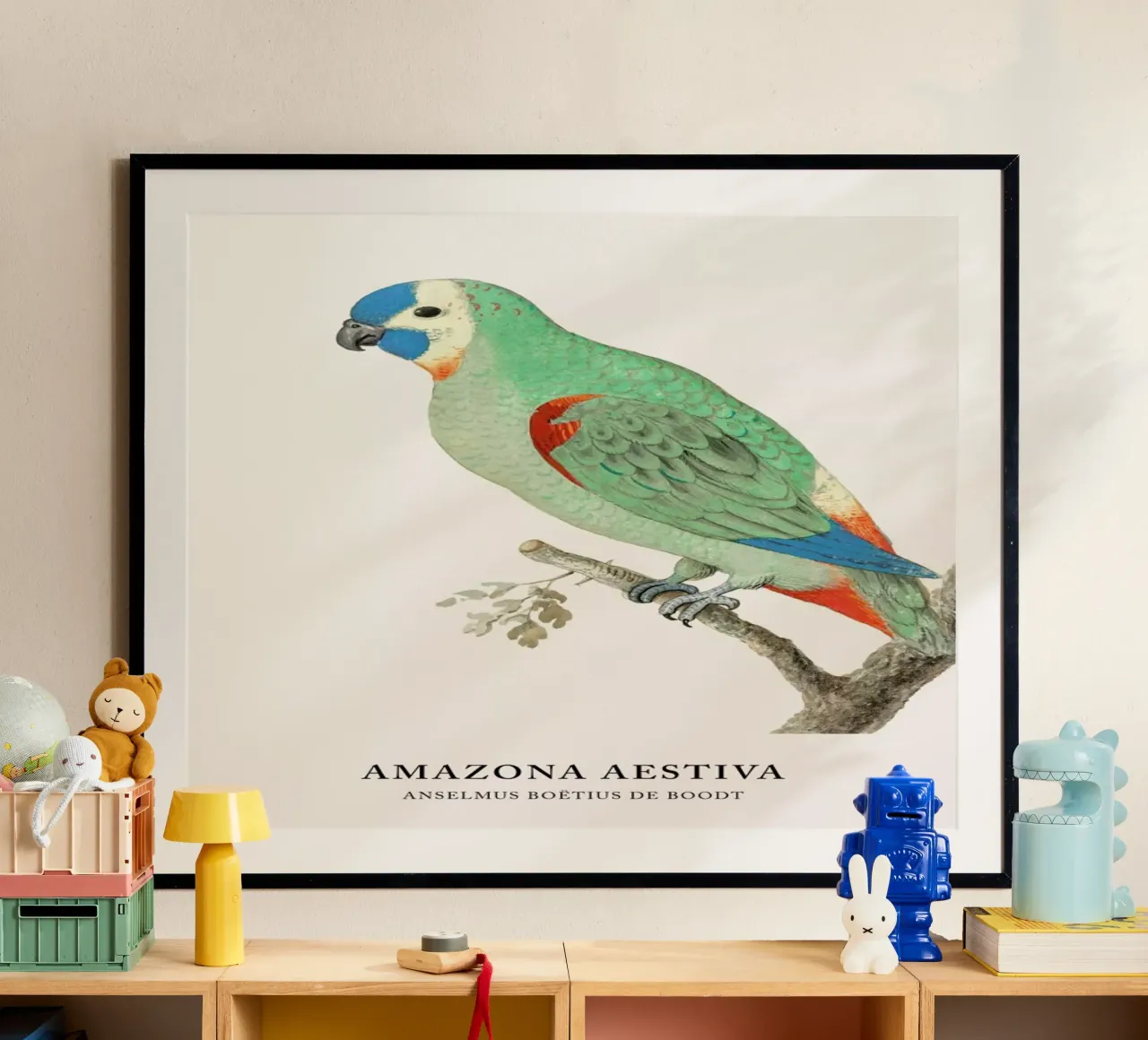 Anselmus Boëtius de Boodt - Blue-fronted Amazon poster da Vintage by JUNIQE