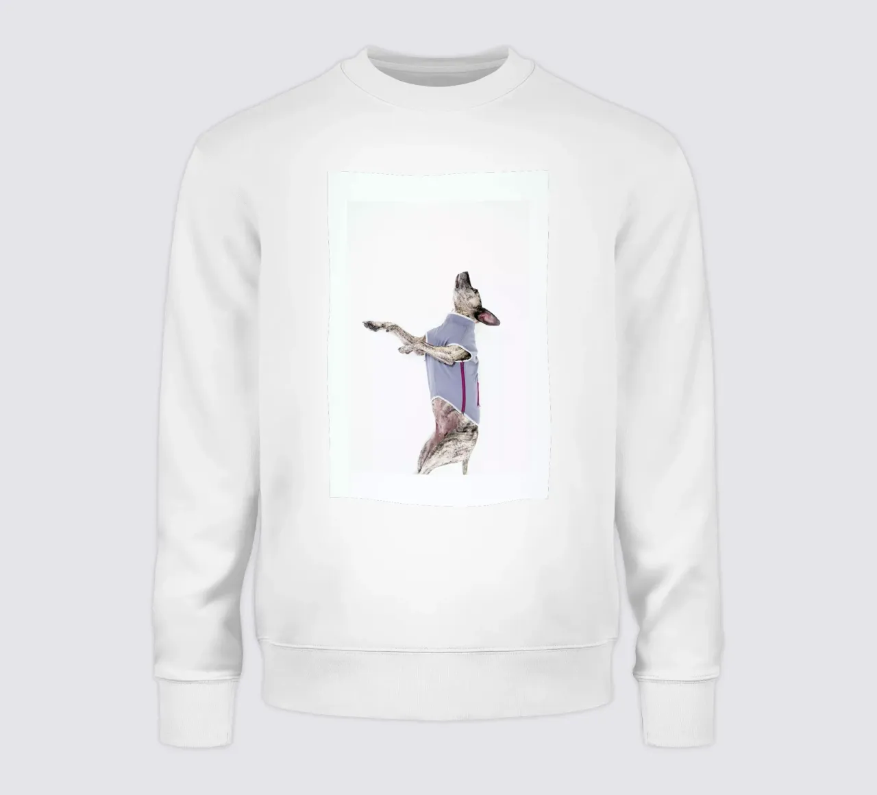 The Tailwaggers 7-2 felpa da Paul Aidan Perry