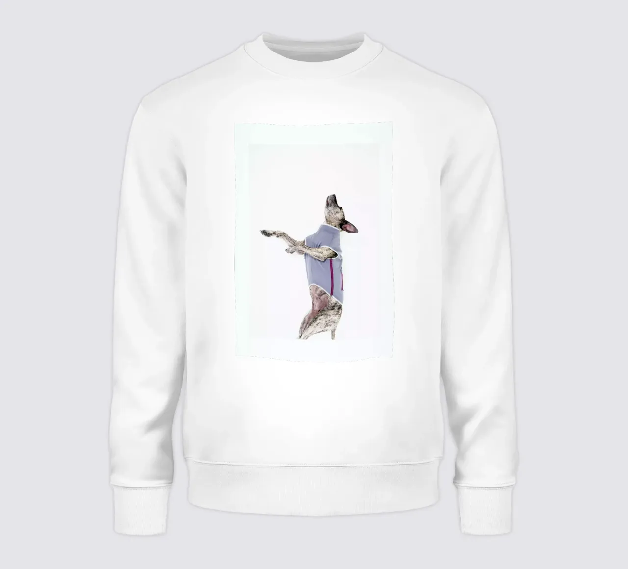 The Tailwaggers 7-2 sweatshirt van Paul Aidan Perry