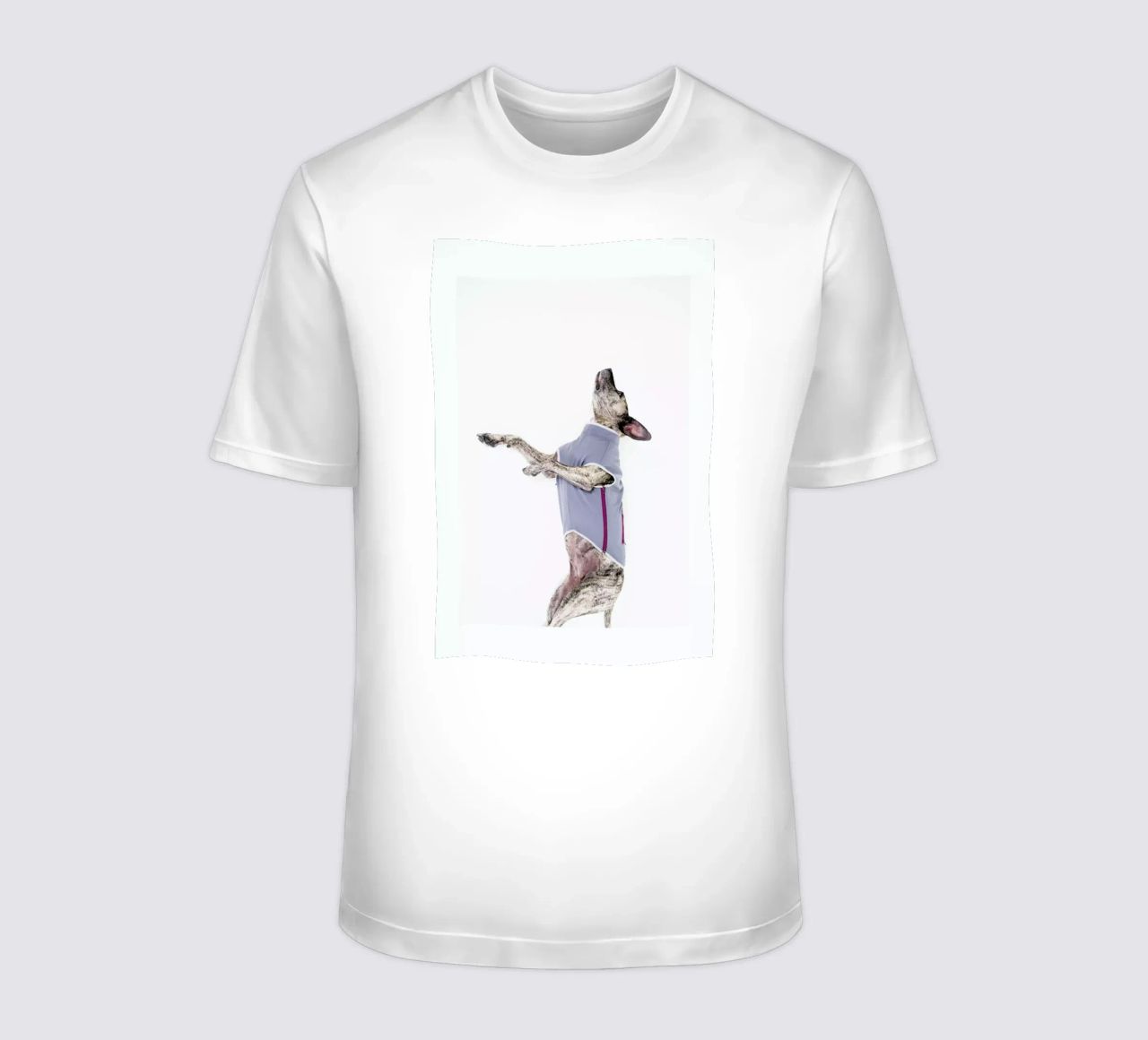 The Tailwaggers 7-2 t-shirt da Paul Aidan Perry