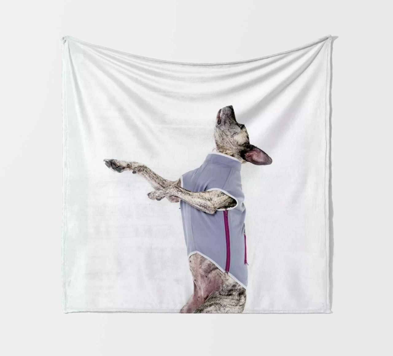 The Tailwaggers 7-2 coperta in pile da Paul Aidan Perry