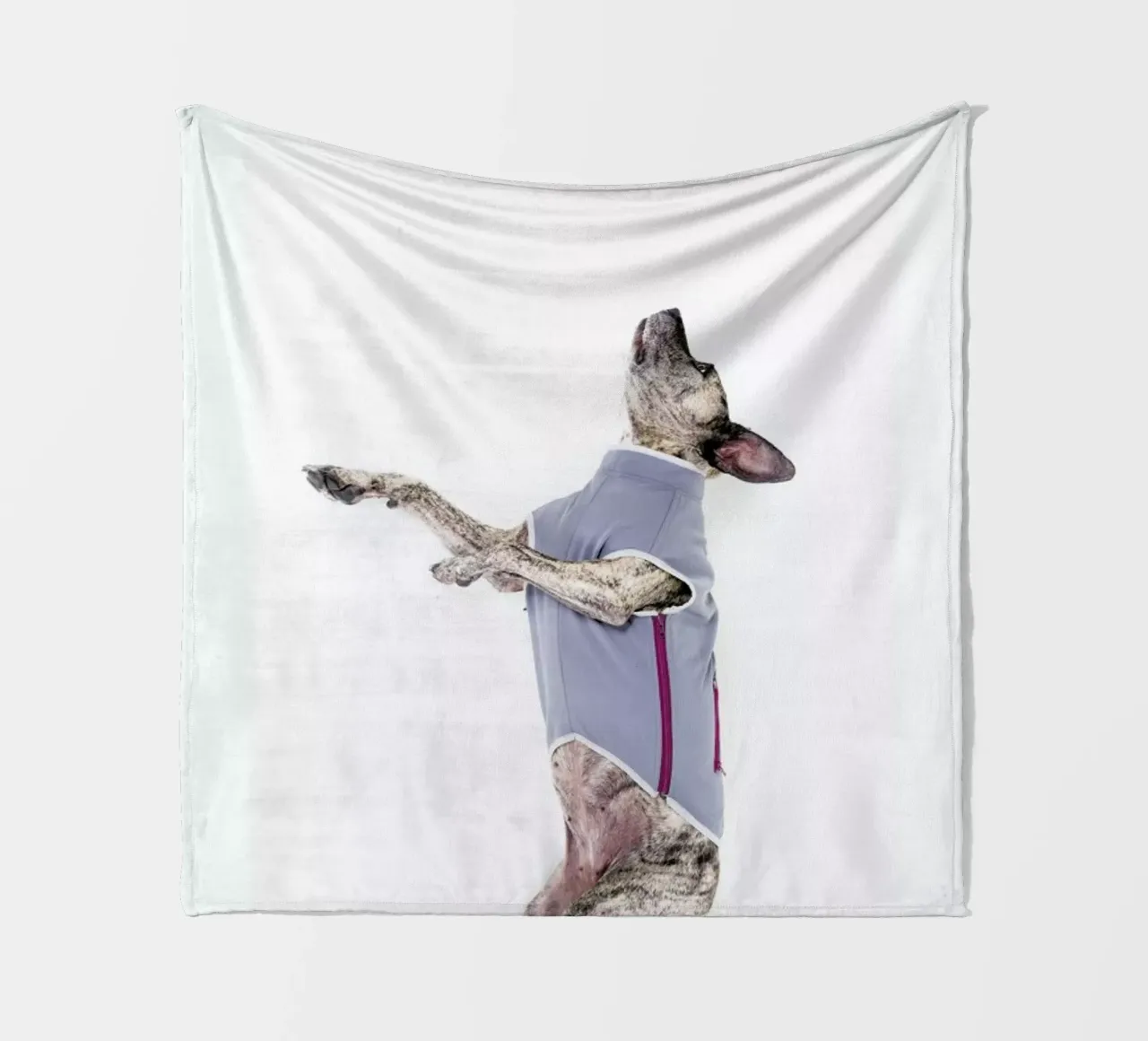 The Tailwaggers 7-2 coperta in pile da Paul Aidan Perry