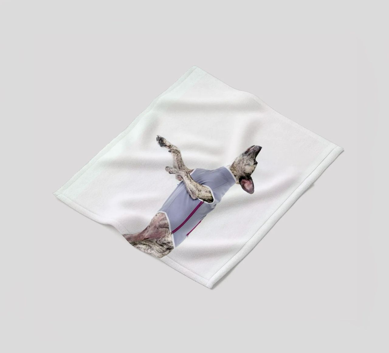 The Tailwaggers 7-2 coperta in pile da Paul Aidan Perry