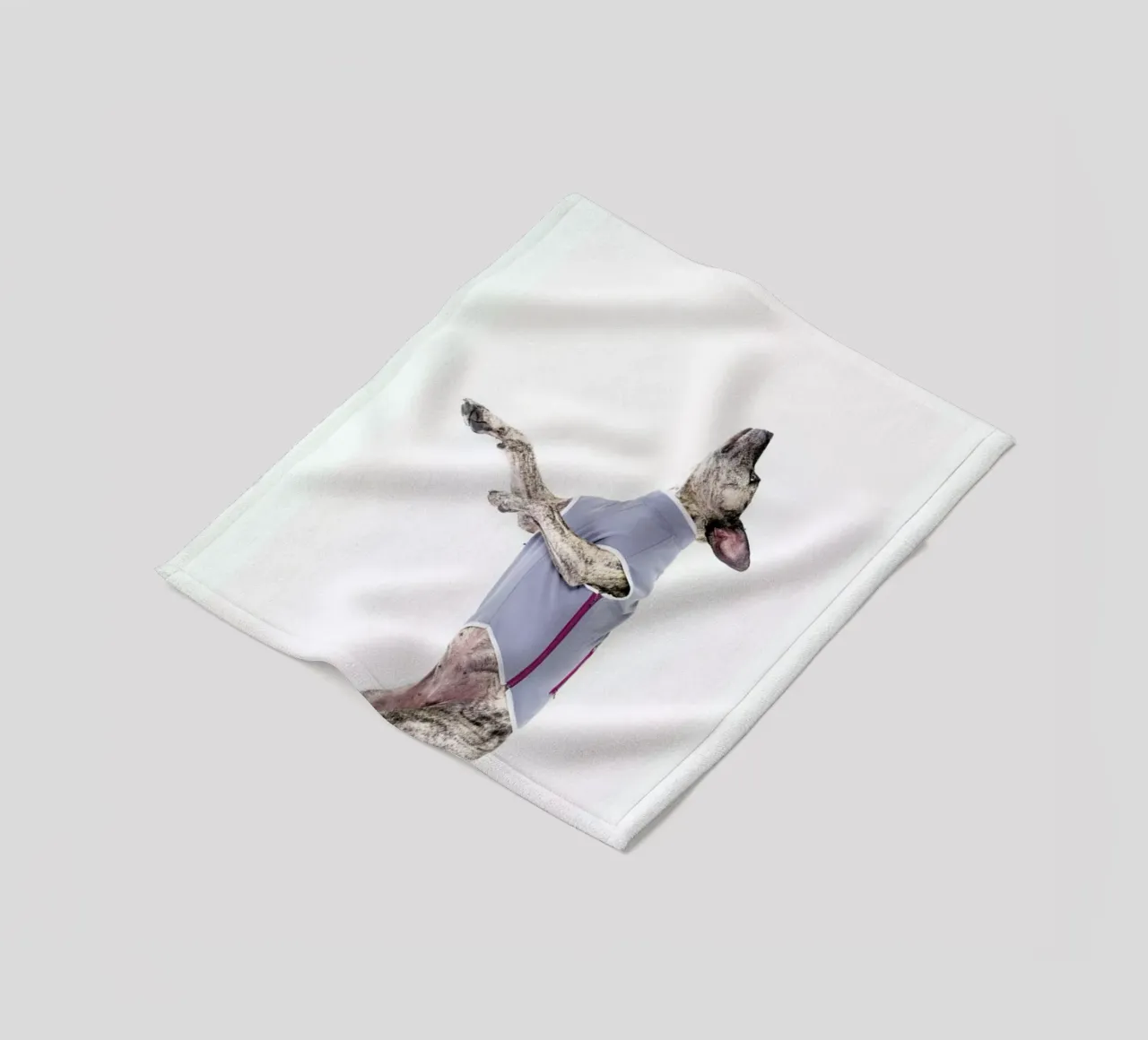 The Tailwaggers 7-2 coperta in pile da Paul Aidan Perry