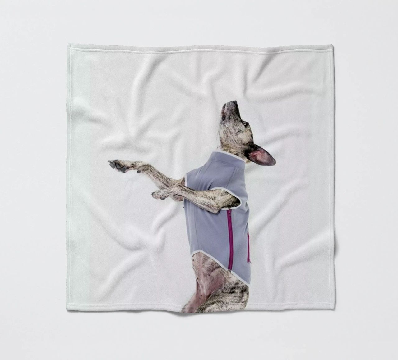 The Tailwaggers 7-2 coperta in pile da Paul Aidan Perry