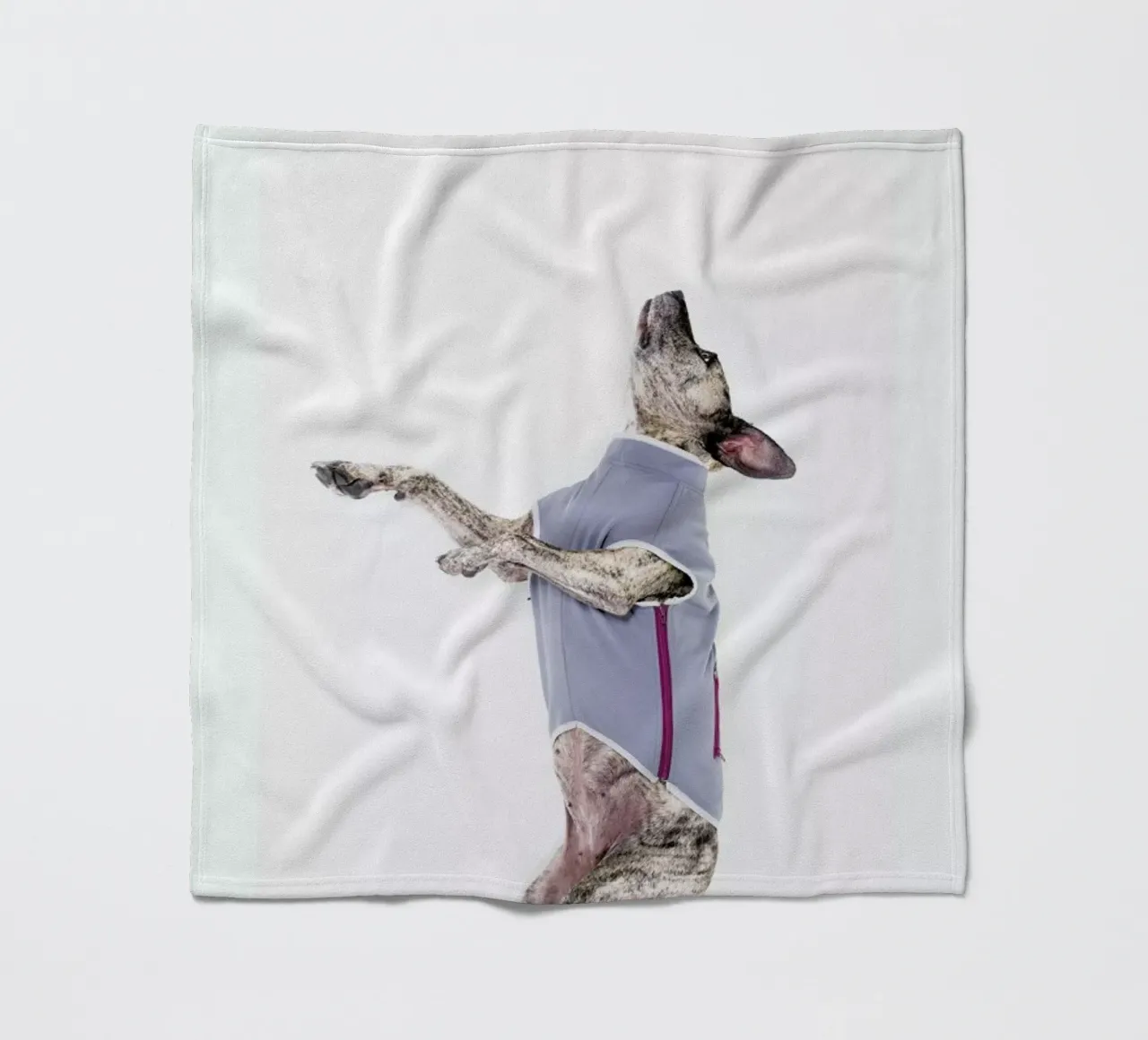 The Tailwaggers 7-2 coperta in pile da Paul Aidan Perry