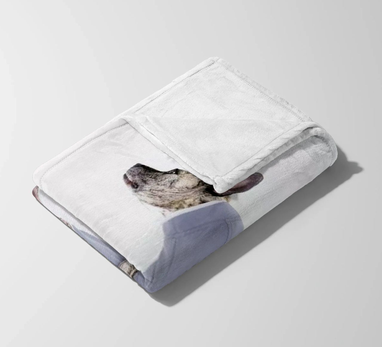The Tailwaggers 7-2 coperta in pile da Paul Aidan Perry