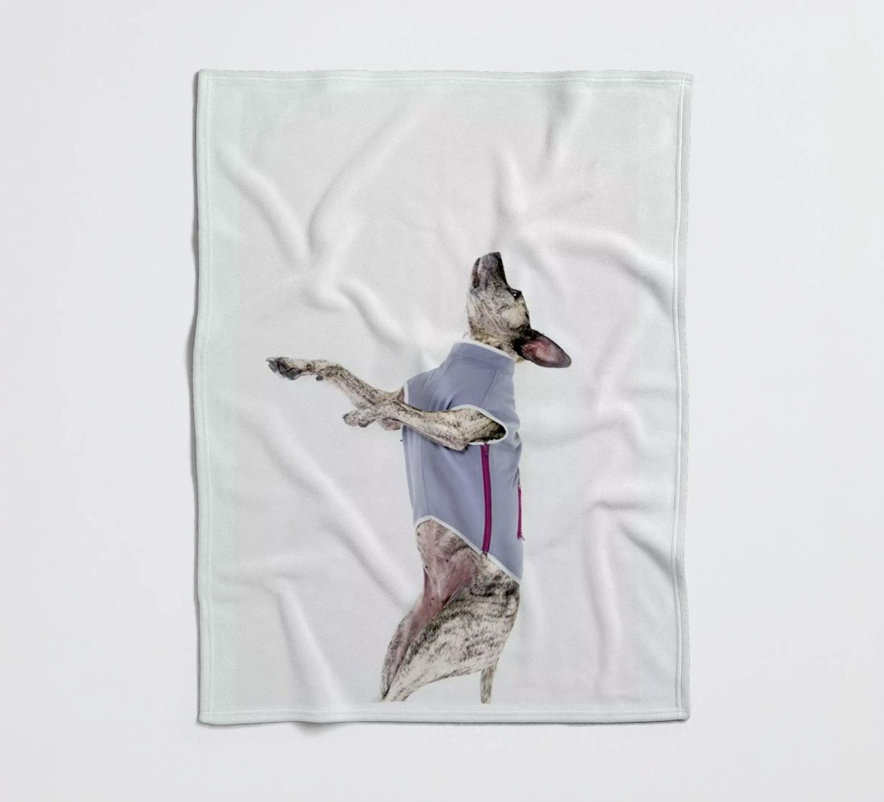 The Tailwaggers 7-2 coperta in pile da Paul Aidan Perry