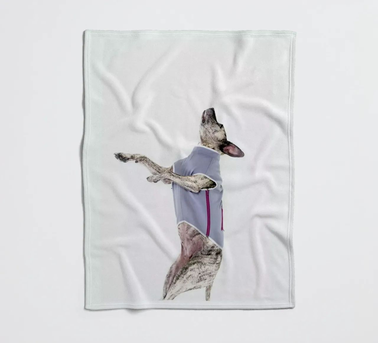 The Tailwaggers 7-2 coperta in pile da Paul Aidan Perry