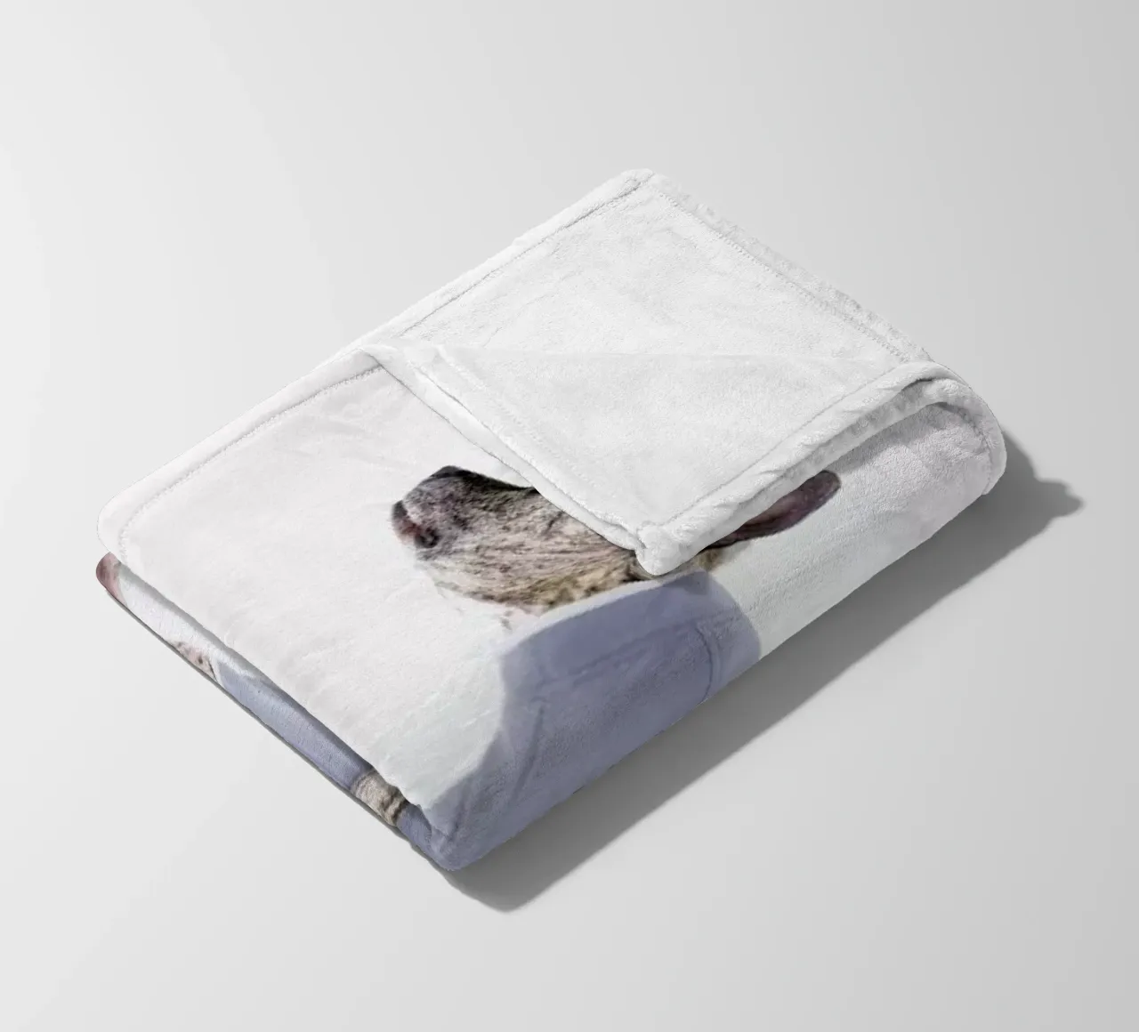 The Tailwaggers 7-2 coperta in pile da Paul Aidan Perry