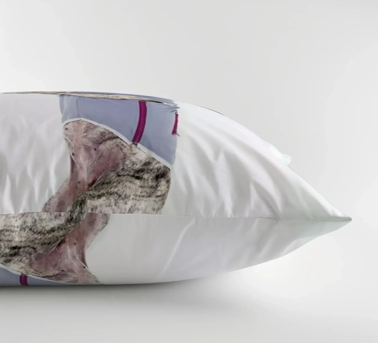 The Tailwaggers 7-2 cuscino da Paul Aidan Perry