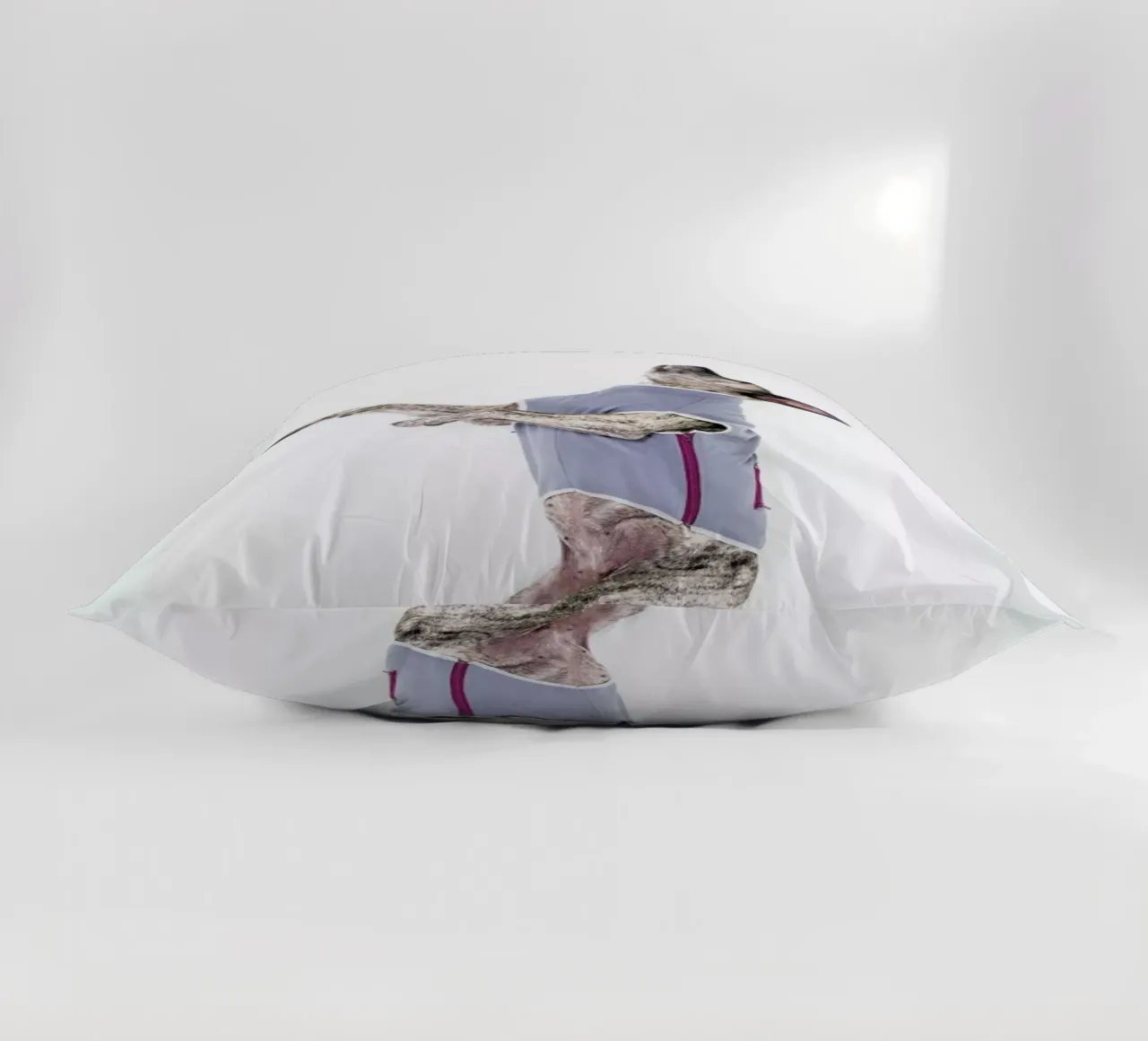 The Tailwaggers 7-2 cuscino da Paul Aidan Perry