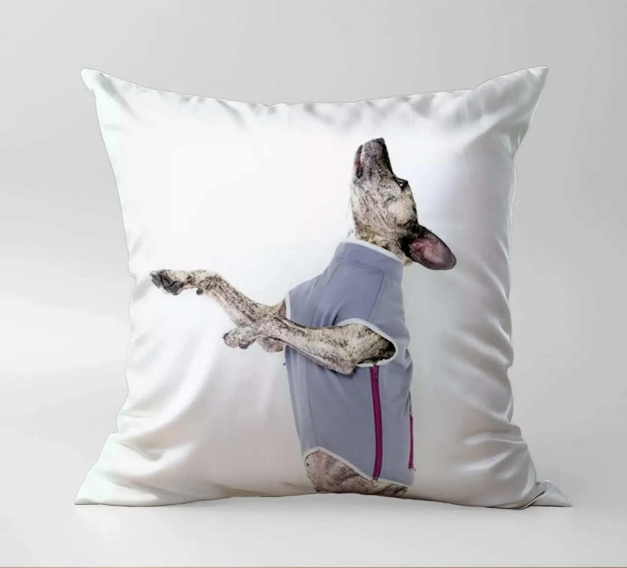 The Tailwaggers 7-2 cuscino da Paul Aidan Perry