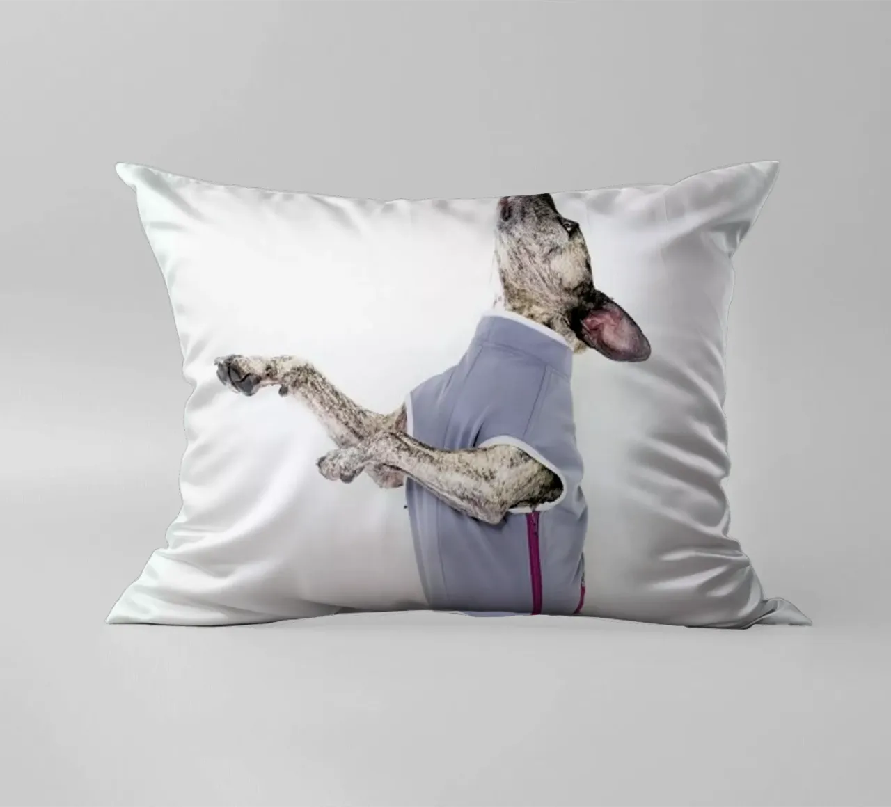 The Tailwaggers 7-2 cuscino da Paul Aidan Perry