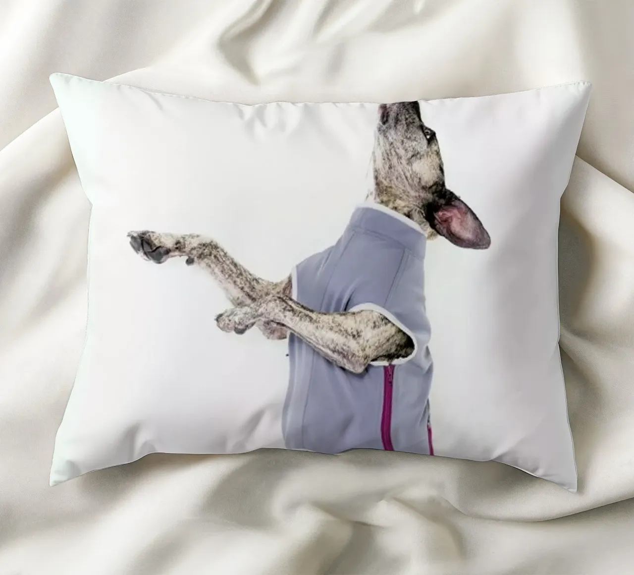 The Tailwaggers 7-2 cuscino da Paul Aidan Perry