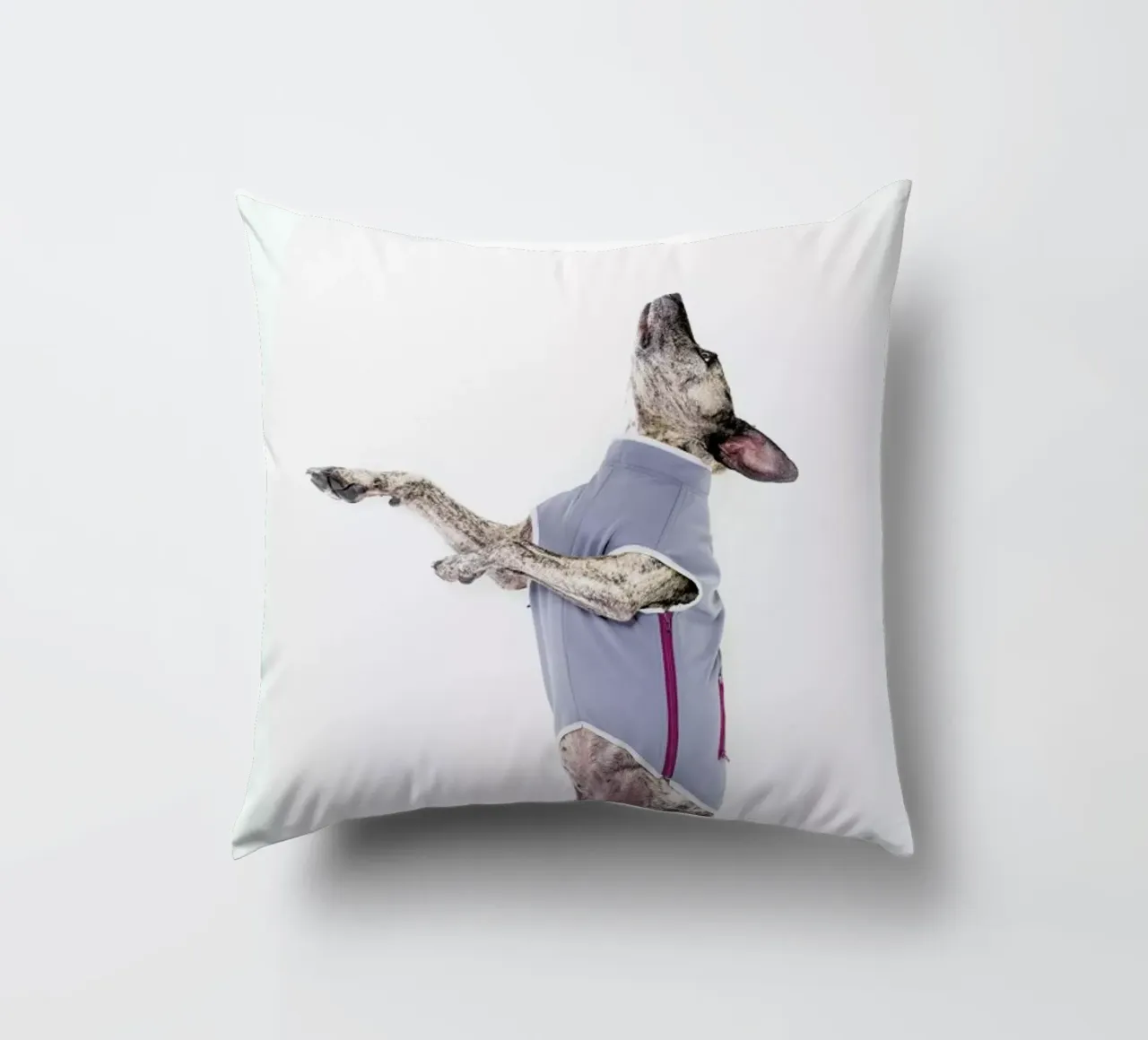 The Tailwaggers 7-2 cuscino da Paul Aidan Perry