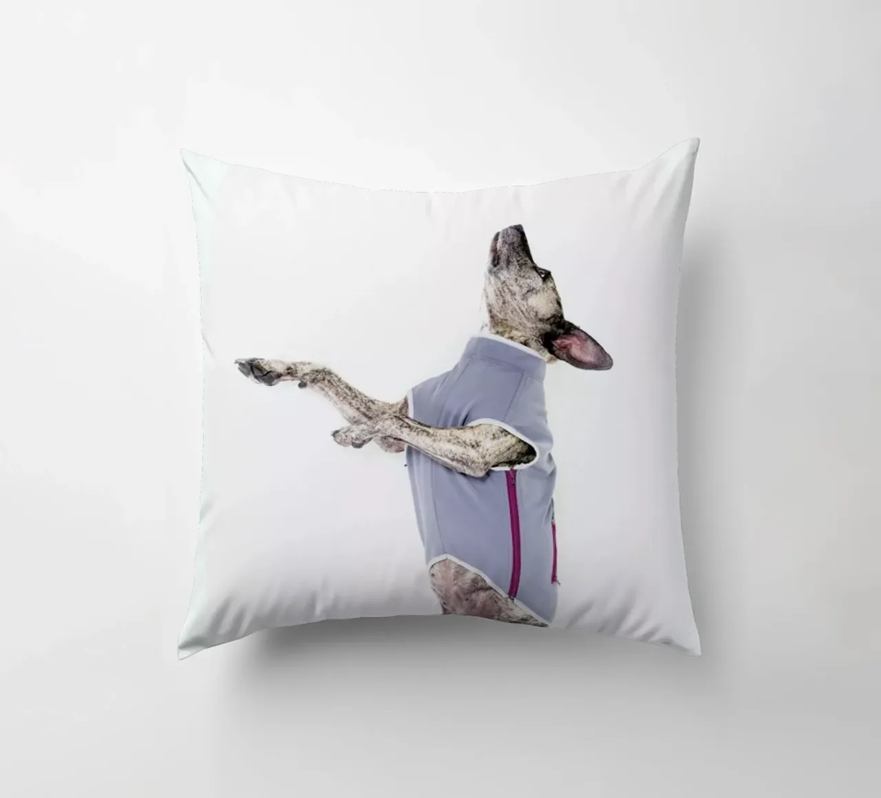 The Tailwaggers 7-2 cuscino da Paul Aidan Perry