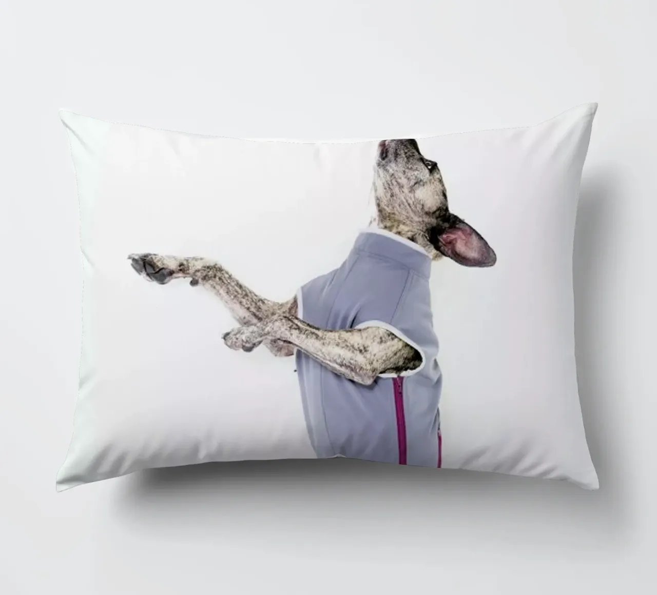 The Tailwaggers 7-2 cuscino da Paul Aidan Perry