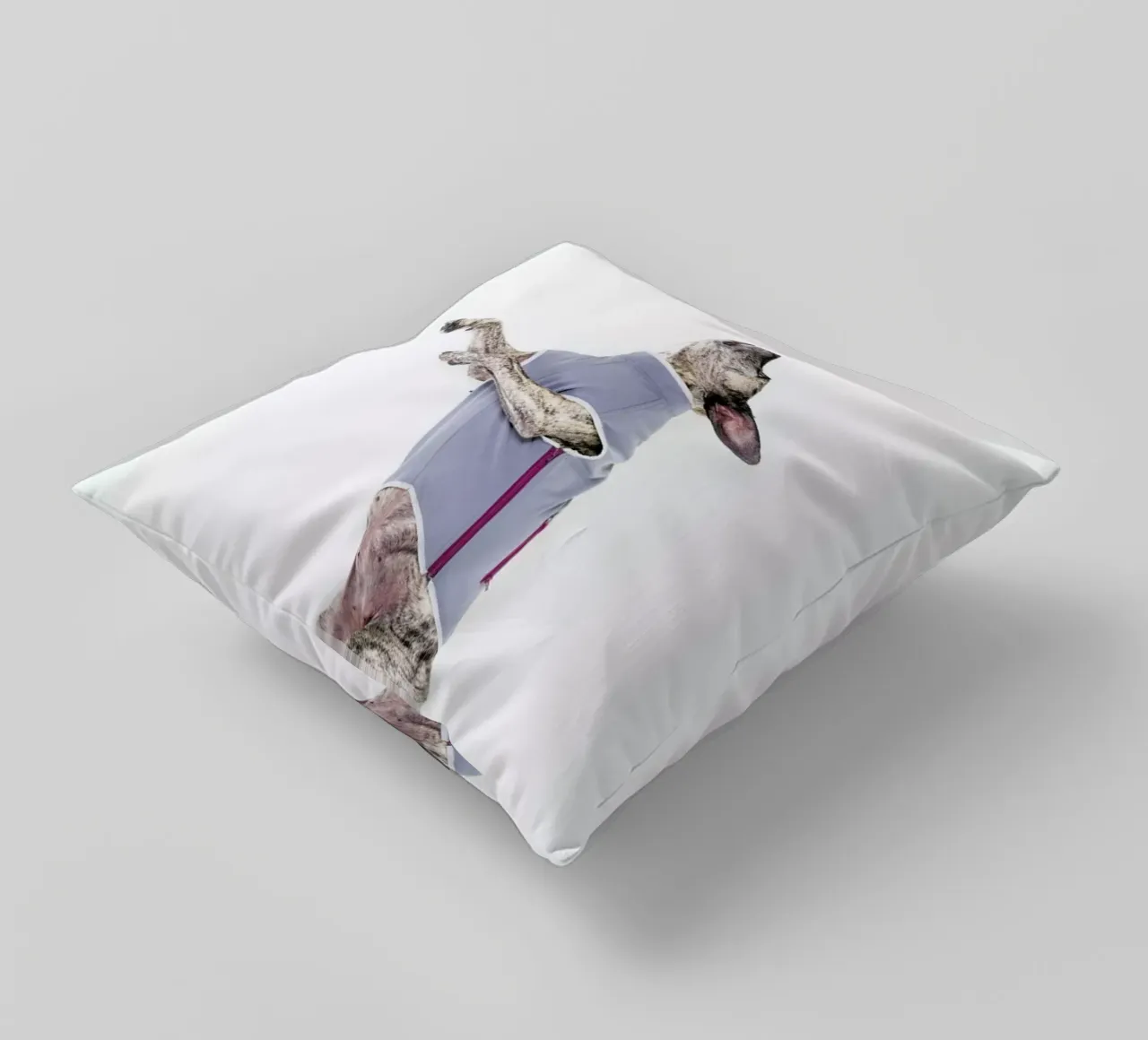 The Tailwaggers 7-2 cuscino da Paul Aidan Perry