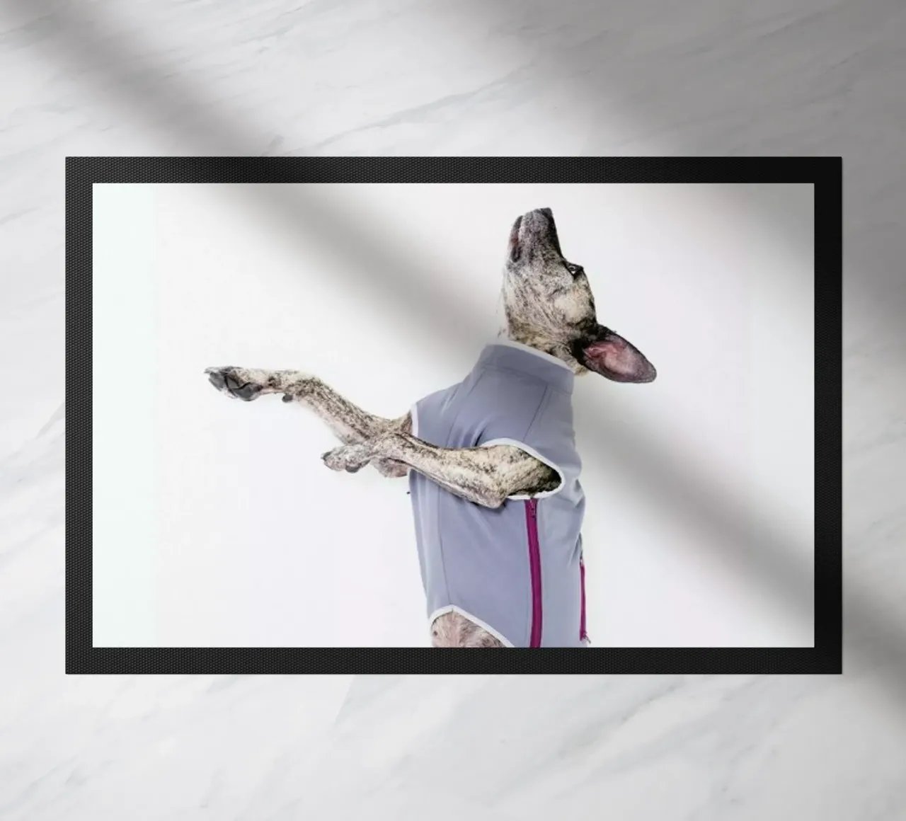 The Tailwaggers 7-2 zerbino da Paul Aidan Perry