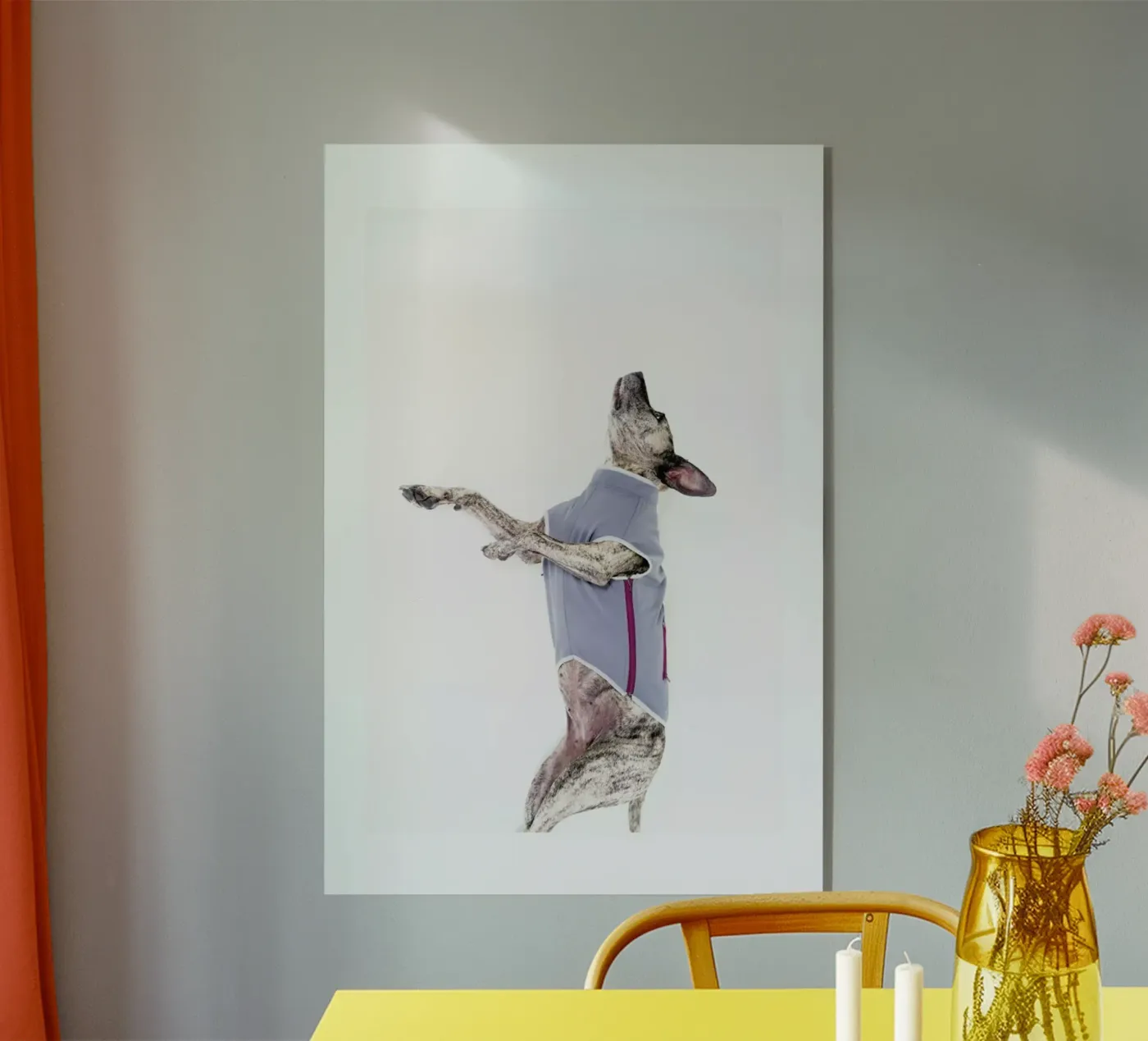 The Tailwaggers 7-2 plexiglass da Paul Aidan Perry