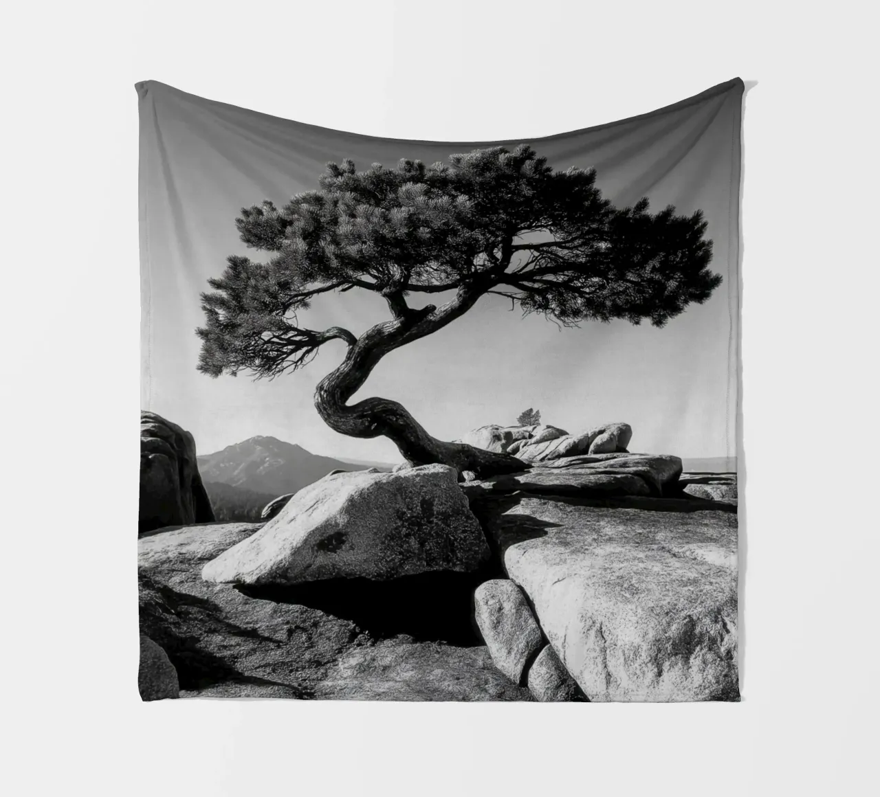 Albero in bianco e nero sulla cima di una montagna coperta in pile da Indigo Tides Art