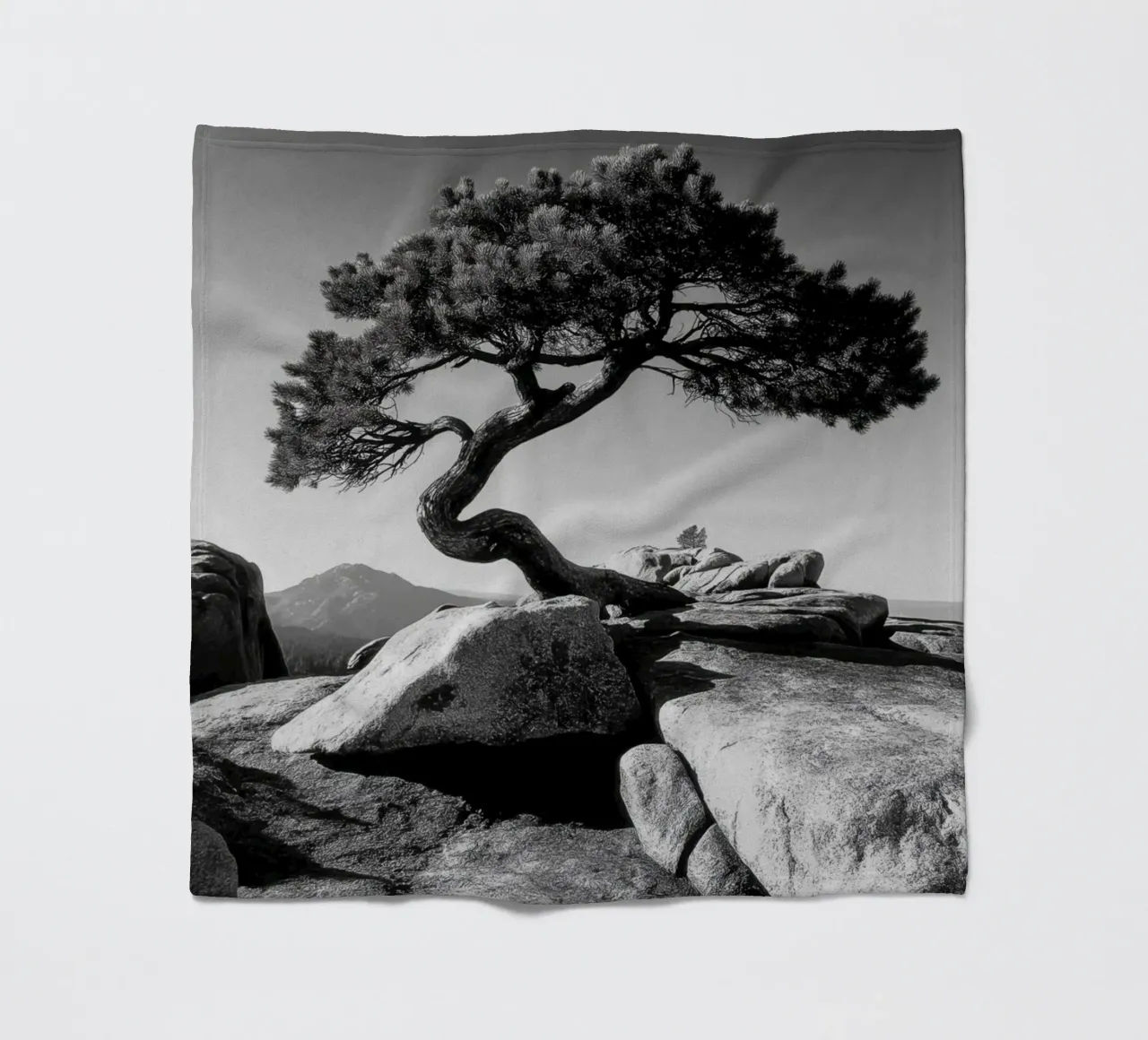 Albero in bianco e nero sulla cima di una montagna coperta in pile da Indigo Tides Art